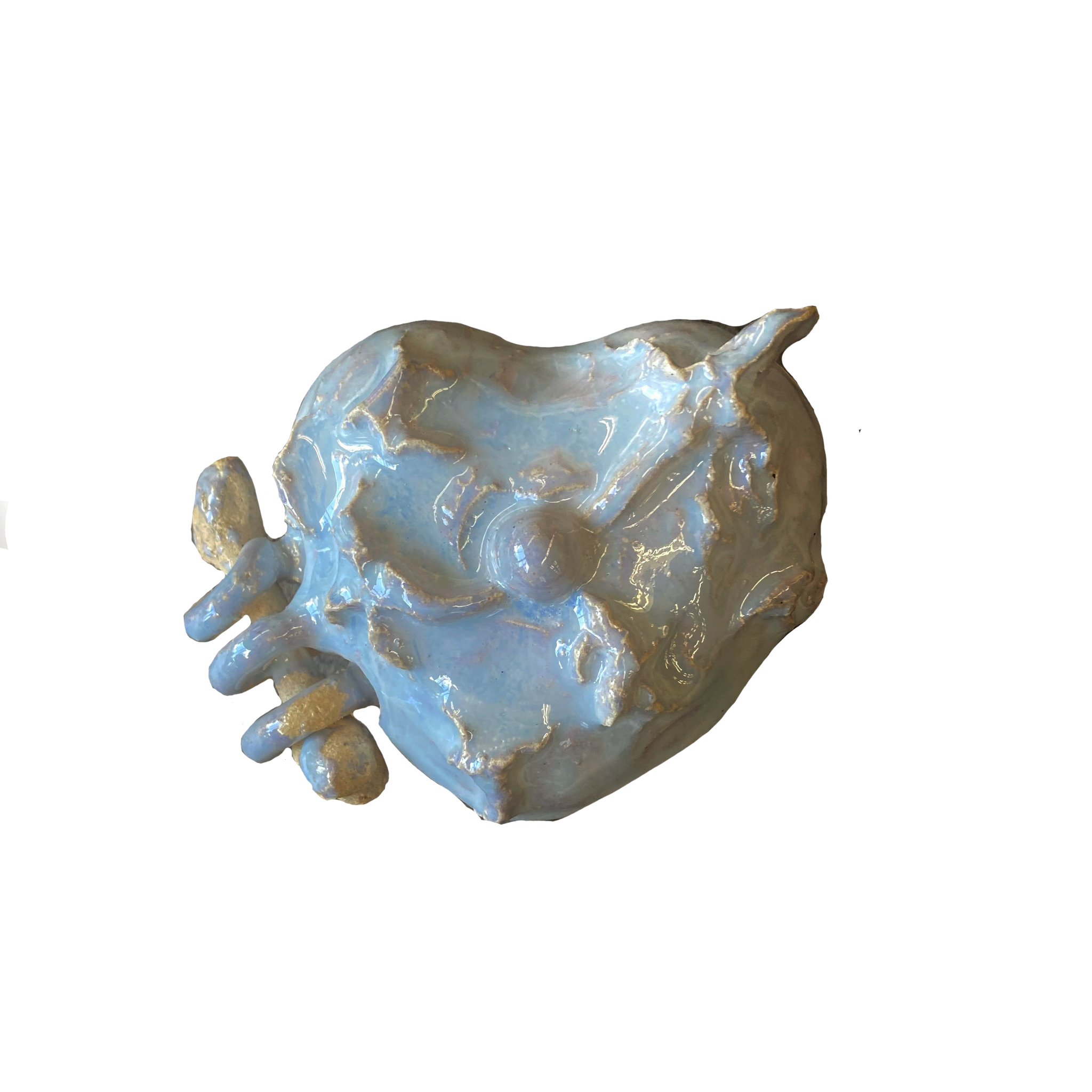 Shop Fragments